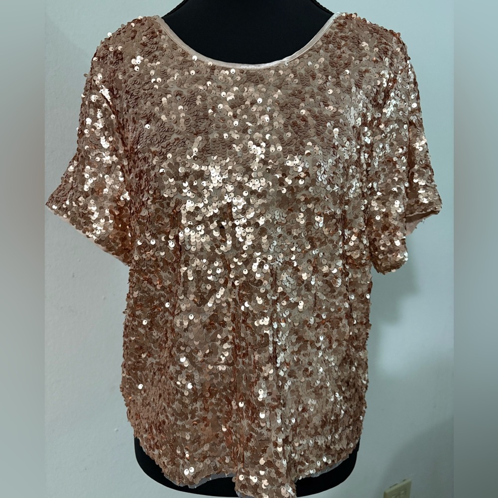 Abercrombie & Fitch sparkly champagne top